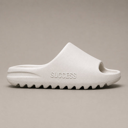 Success motion slides